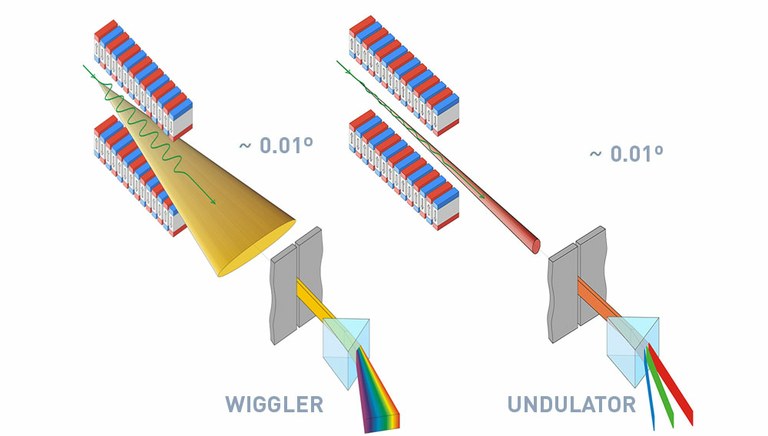 Insertion Devices graphic showing wiggler and undulator